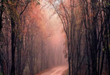 炒股配资资讯:手机上买股票的软件-马斯克投资的飞行汽车在机场试运营 水平飞行可达177公里 214万元一辆 只能乘坐两人